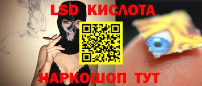 гашик Новокубанск