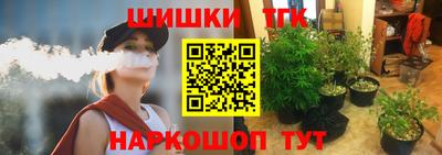 гашик Новокубанск
