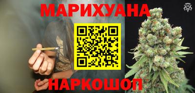 гашик Новокубанск