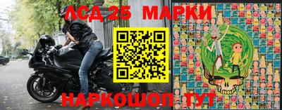 гашик Новокубанск