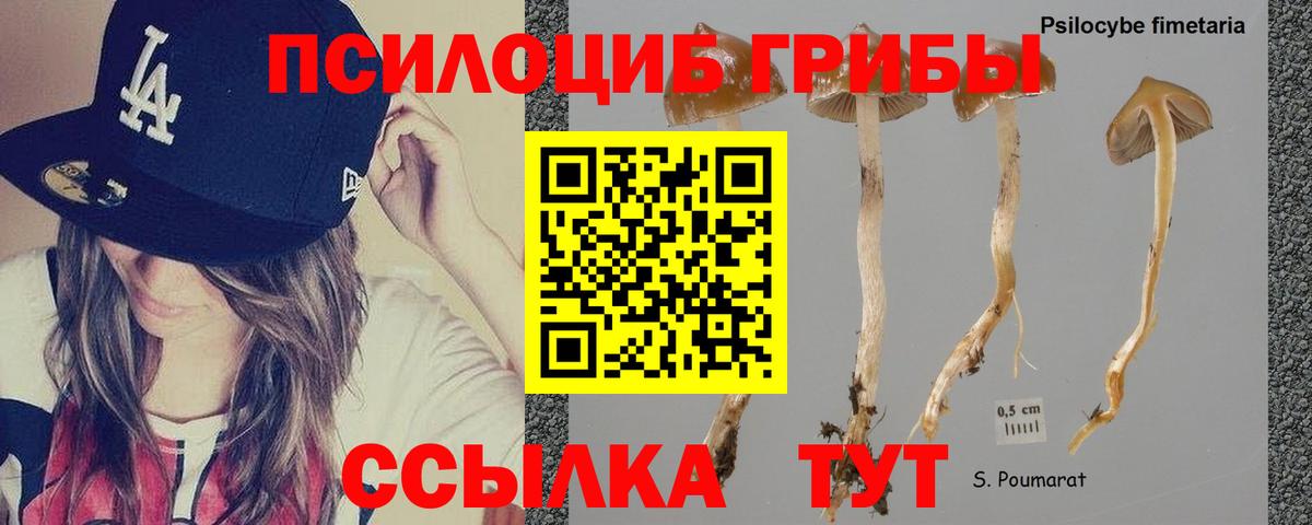Галлюциногенные грибы прущие грибы  Вход с VPN  Томск  Галлюциногенные грибы прущие грибы 